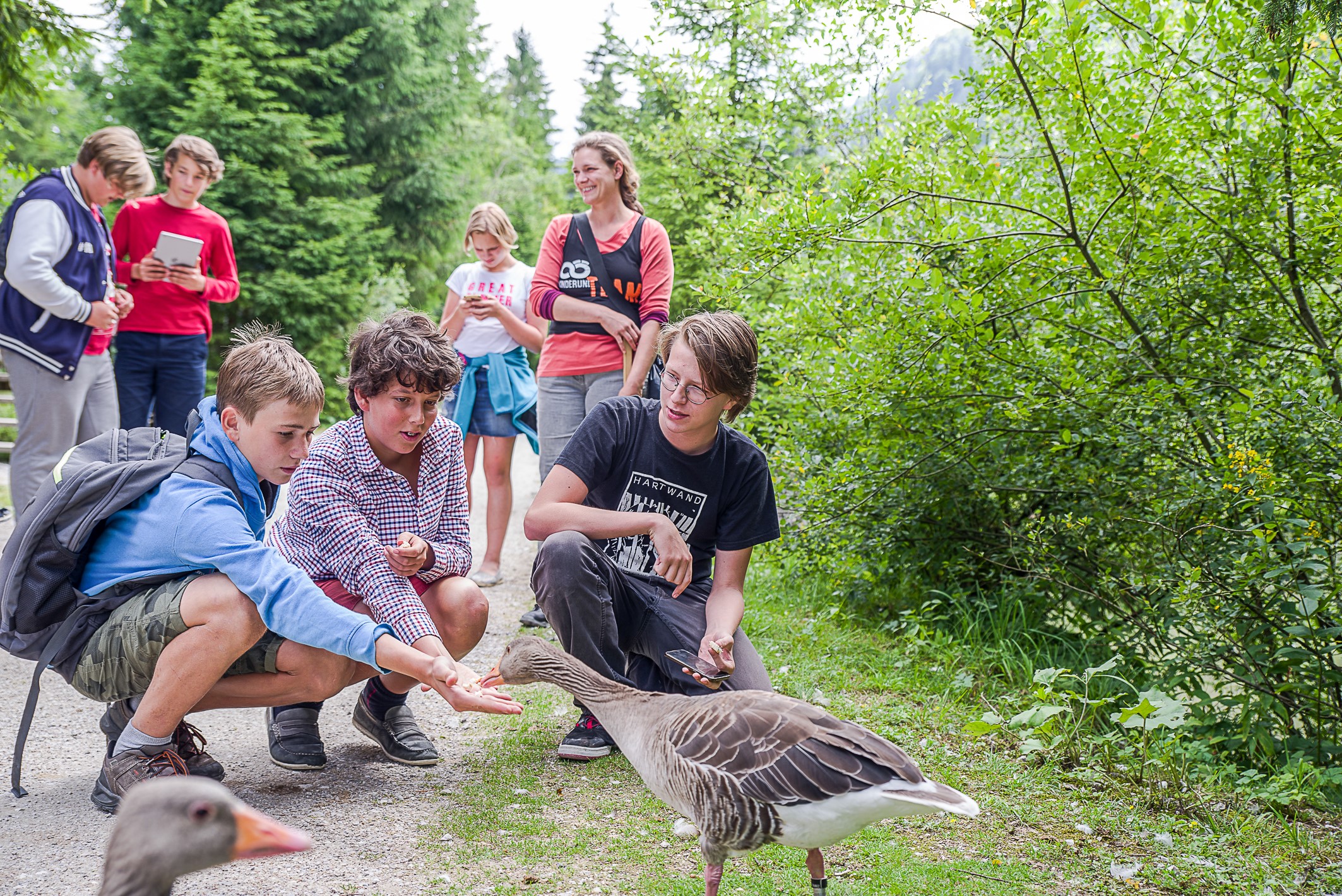 Kinder und eine Mutter beim Wandern. Drei Buben im Vordergrund füttern eine Gans.