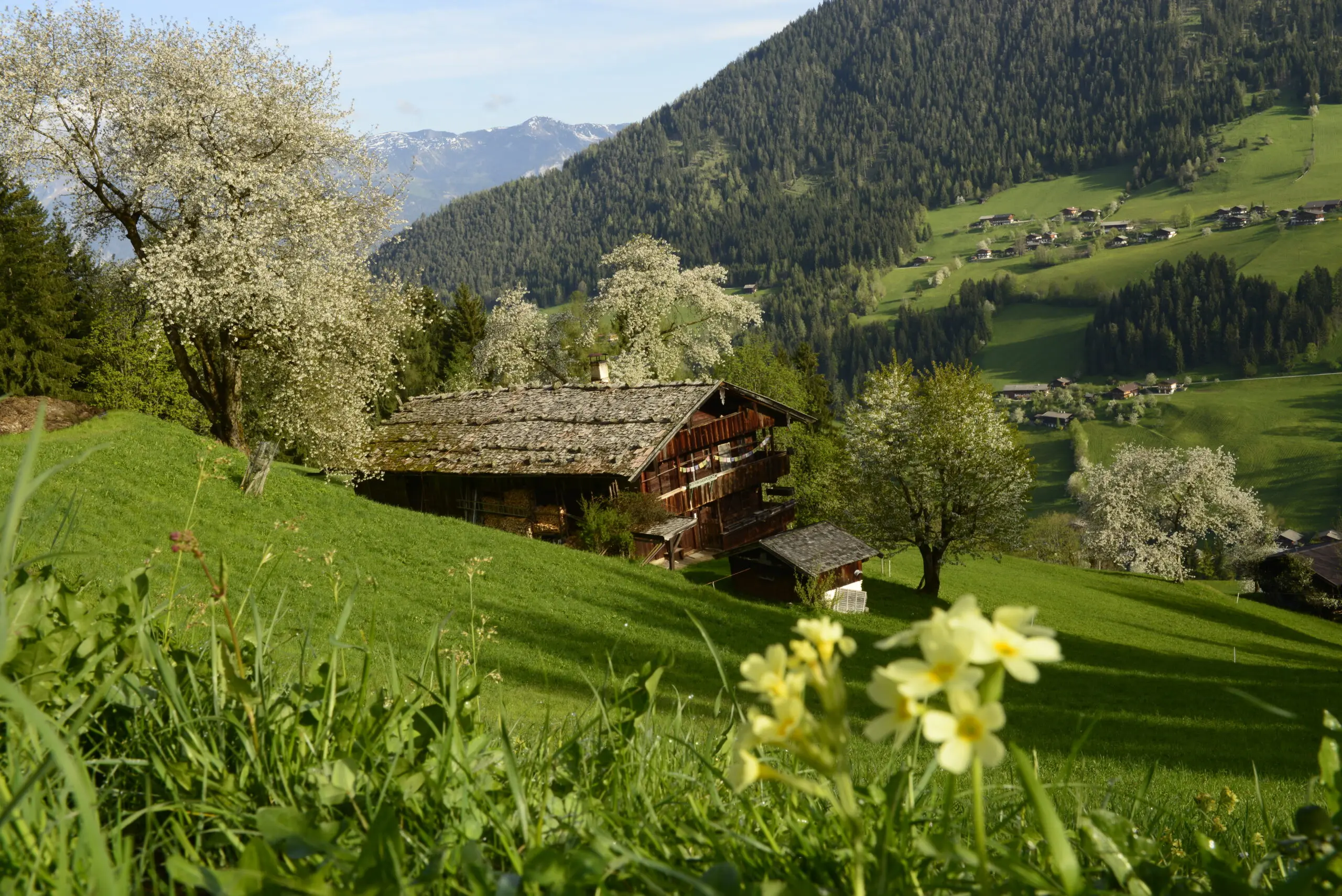 Tirol Touristica 2025: Einreichung gestartet