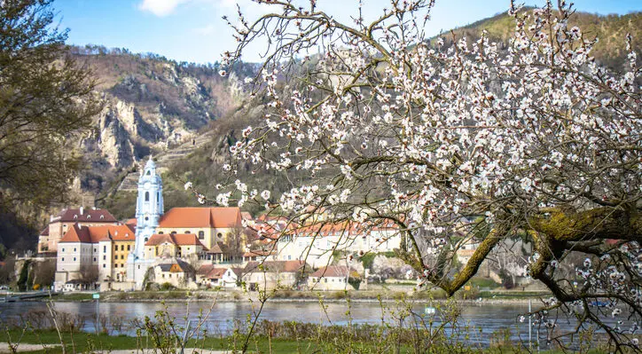 „Frühlingsticket Wachau“ verbindet Verkehrsmittel der Region