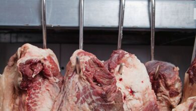 Das Fleisch alter Kühe besticht durch intensive Aromen. Ein Trend, der auf Zeit, Geduld und beste Aufzucht setzt. (C) Connect Images