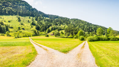 (C) iStock / Getty Images Plus / Maryna Patzen