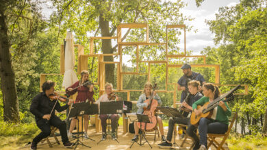 Stippich und Uhler, Bravour Schrammeln XXL © Stephan Mussil