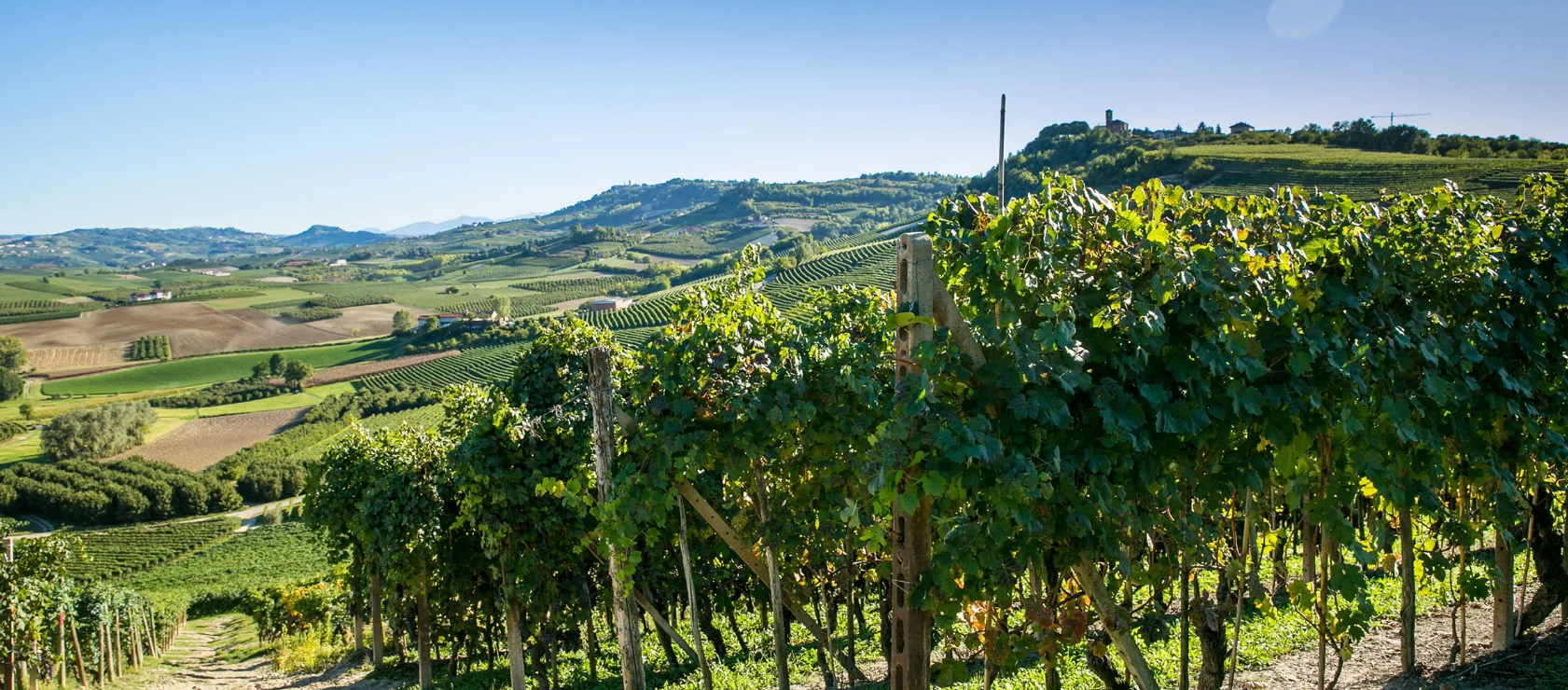 Ein Weingut am Hang. Im Hintergrund sind berge zu sehen.