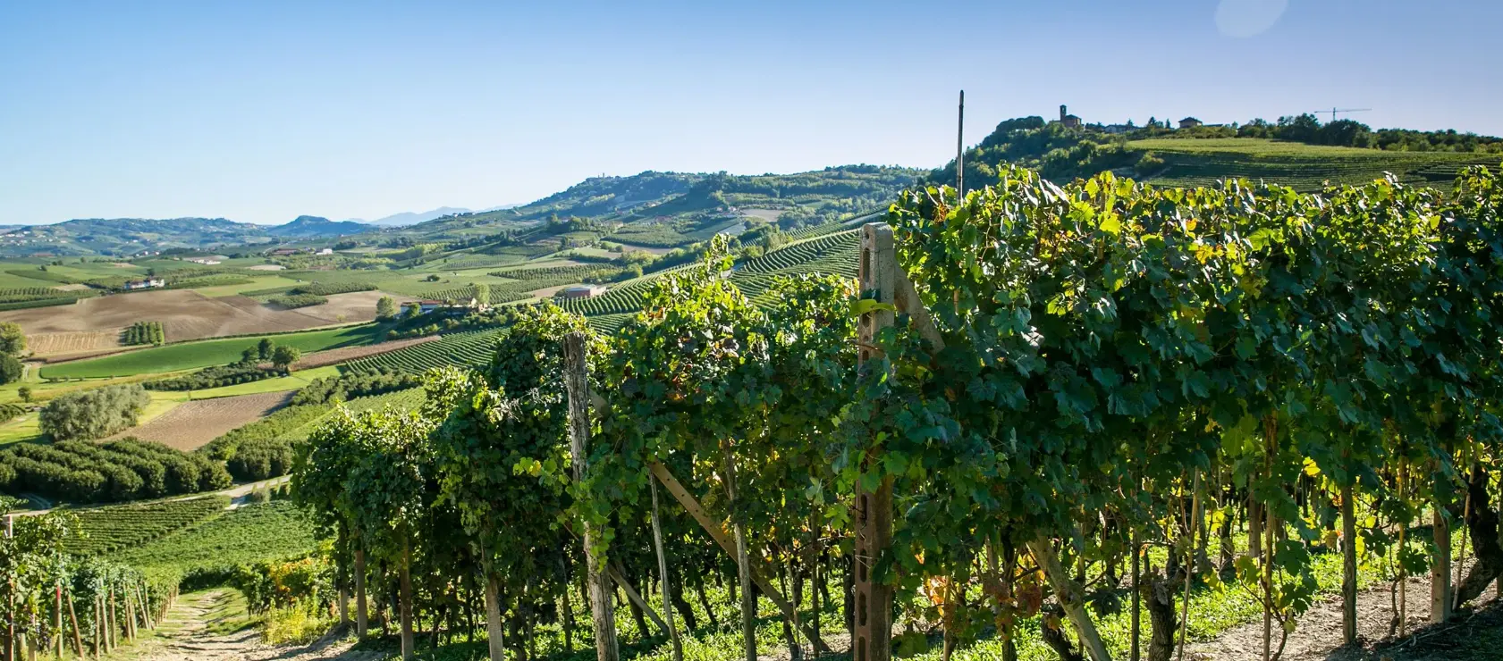 Tipp: Wein- und Spirituosenverkostung im Hilton Plaza Wien