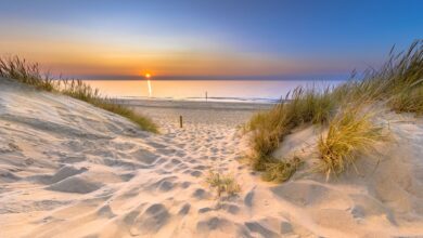 Destinationen in Nordeuropa gewinnen an Bedeutung. Die Sommer sind dort (noch) wesentlich angenehmer. (C) iStock / Getty Images Plus / CreativeNature_nl