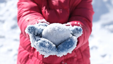 Schneeball in Hand © Elena Kurkutova iStock Getty Images Plus