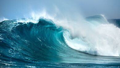 (C) iStock / Getty Images Plus /irabell