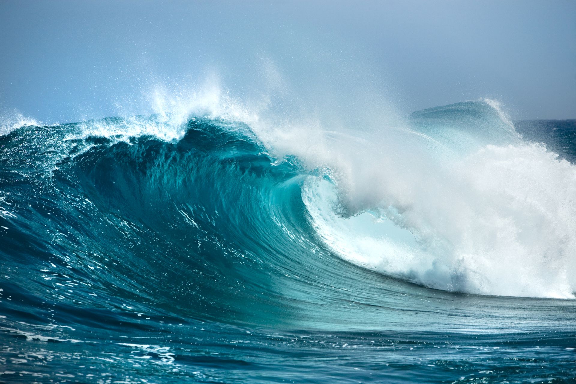 (C) iStock / Getty Images Plus /irabell