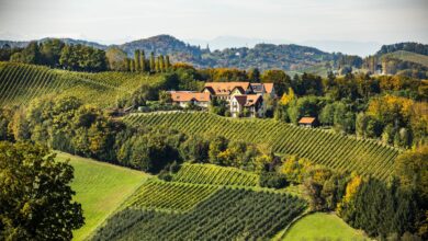 Der Sattlerhof ist ein südsteirisches Juwel. (C) Robert Herbst