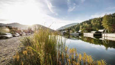 Der Almstrand des Almwellness Hotel Pierer liegt eingebettet in die sanfte Hügellandschaft der Teichalm und bietet direkten Zugang zu einem beheizten Naturschwimmteich.