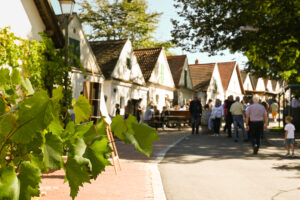 Kellergassenfest im Weinviertel © Weinviertel Tourismus / Lisa Sedlatschek