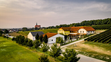 Drohnenaufnahme © Weingut Neustifter/ Herbst