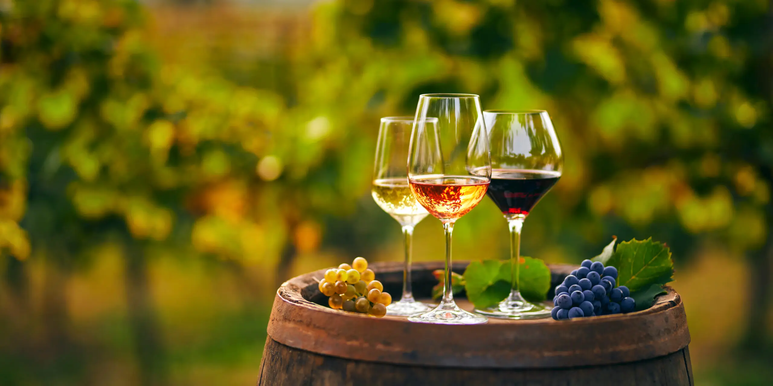 Weinraritäten als Mehrwert für die Gastronomie