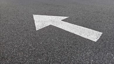 (C) iStock / Getty Images Plus / LangPhoto