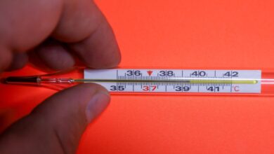 (C) iStock / Getty Images Plus / Oleh Strus