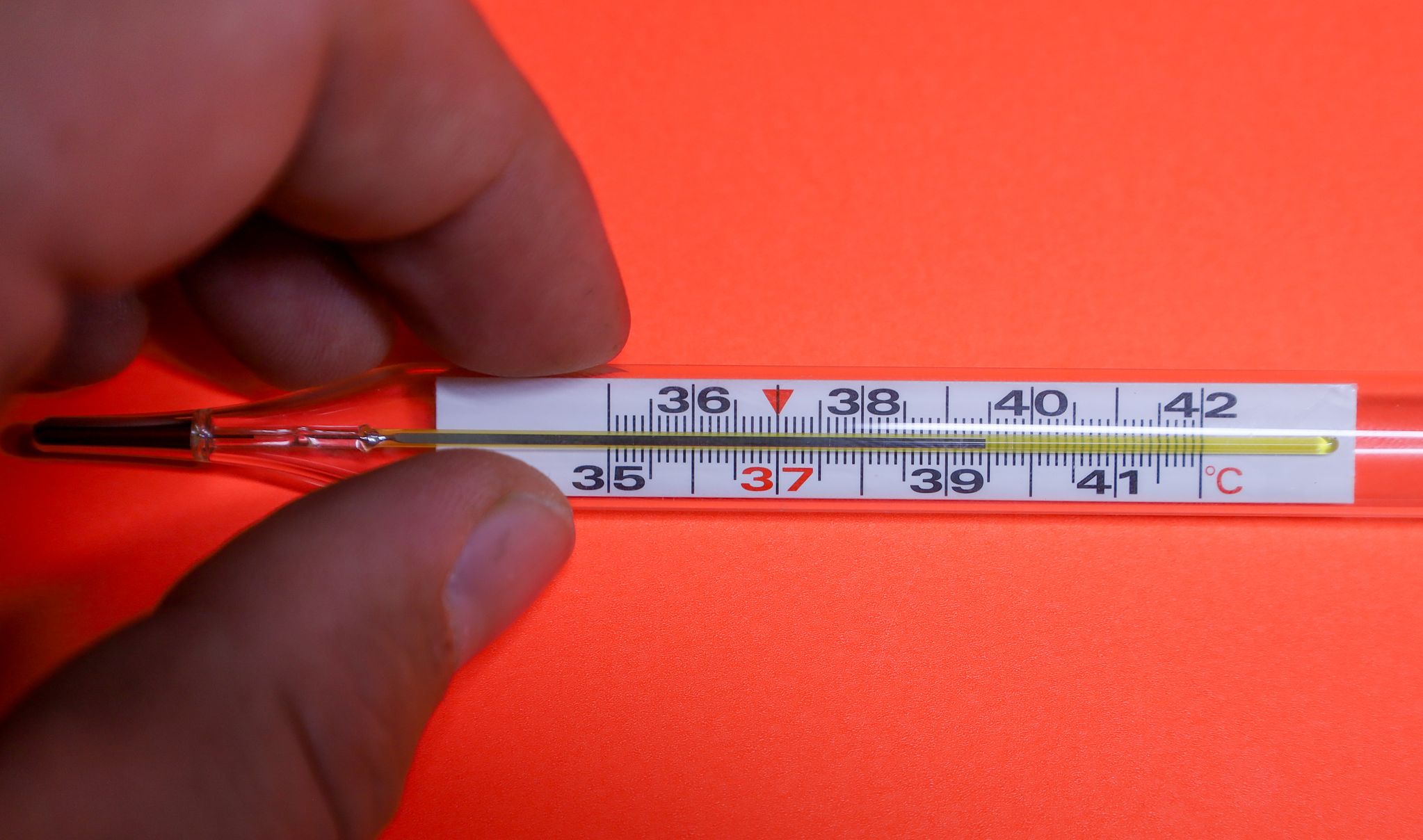 (C) iStock / Getty Images Plus / Oleh Strus