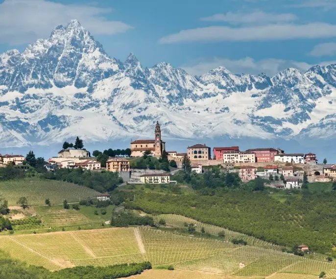 Barolo & Friends
