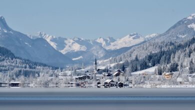 (C) iStock / Getty Images Plus / Renate Wefers