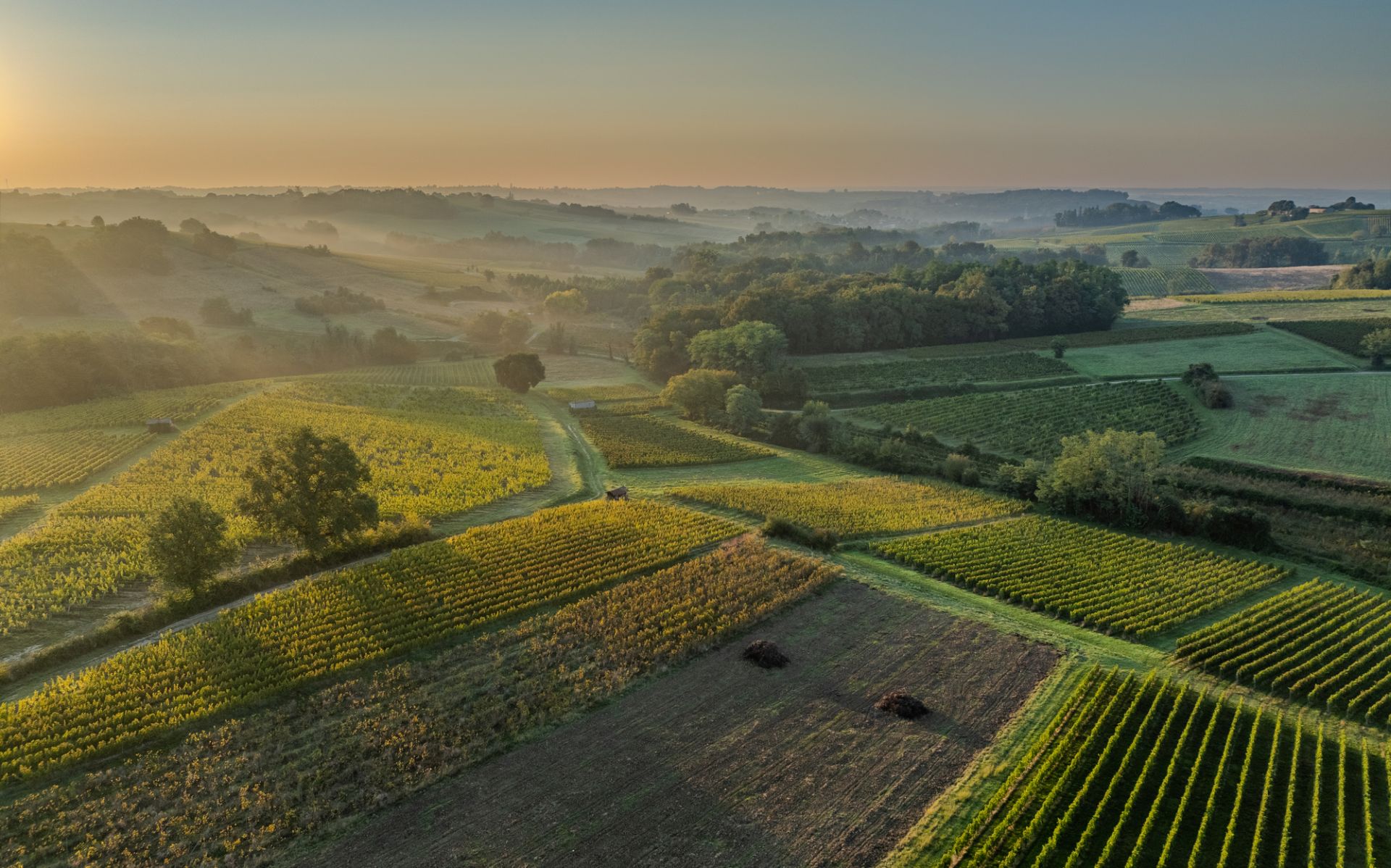 Auch Produzenten aus Bordeaux sind bei Tastin’France 2026 vertreten. (c) iStock / Getty Images Plus /