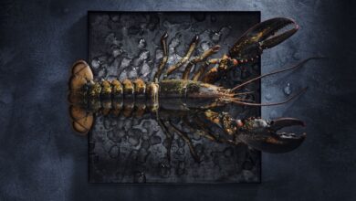 (C) KRÖSWANG / Raphael Gabauer