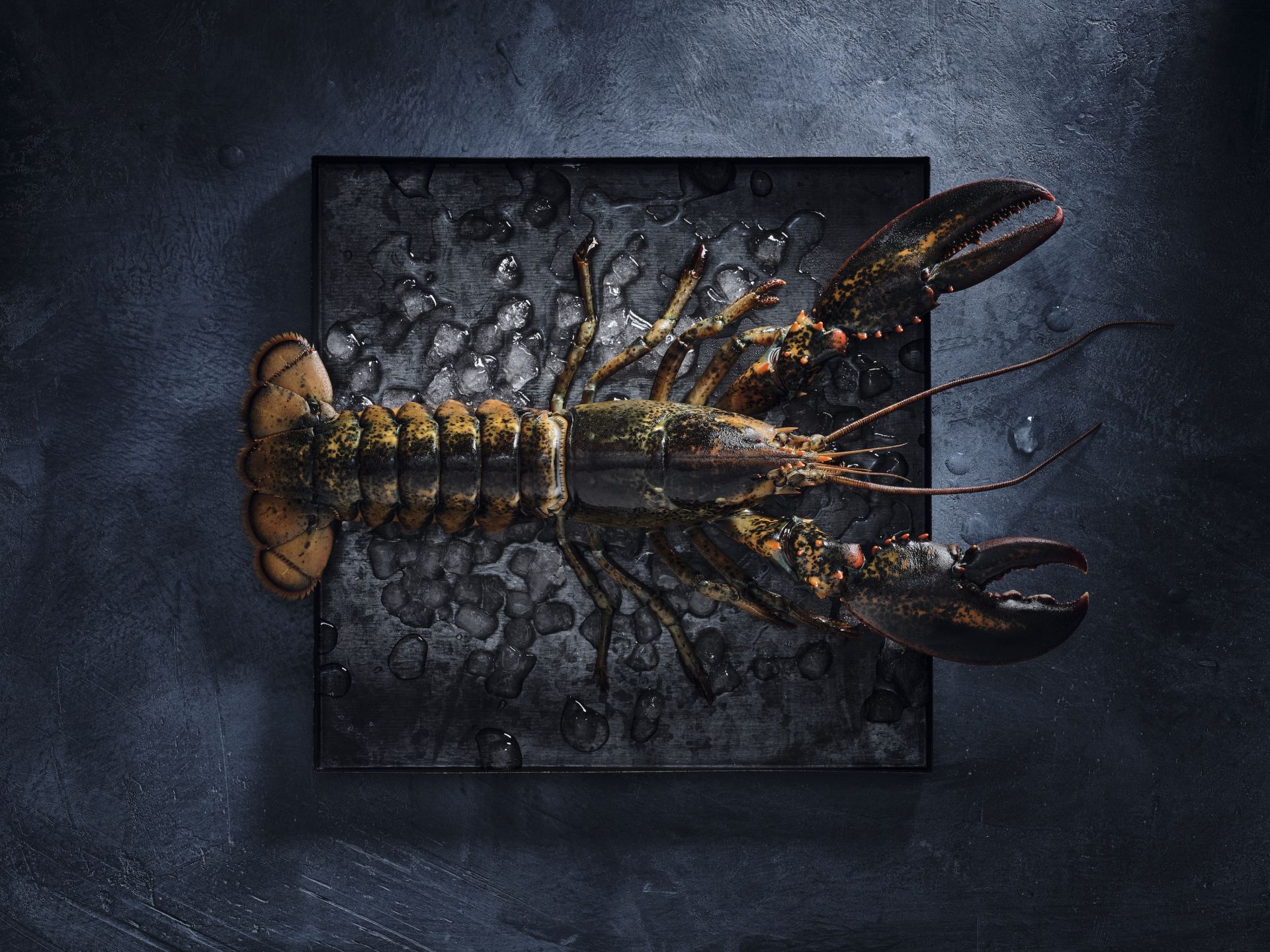 (C) KRÖSWANG / Raphael Gabauer