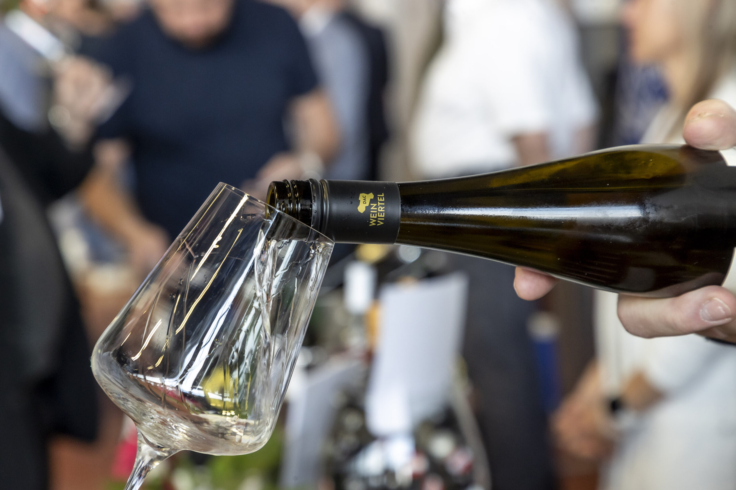 Vorbeischauen, verkosten, genießen: Der WEINVIERTEL DAC Jahrgang 2025 on Tour