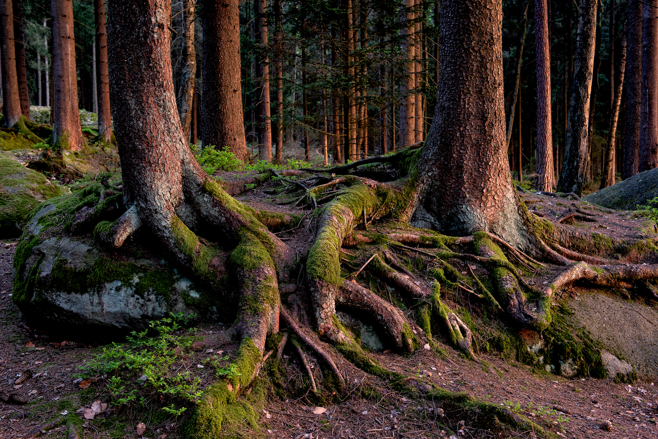 MICE-Geschäft: Netzwerke sind der Schlüssel