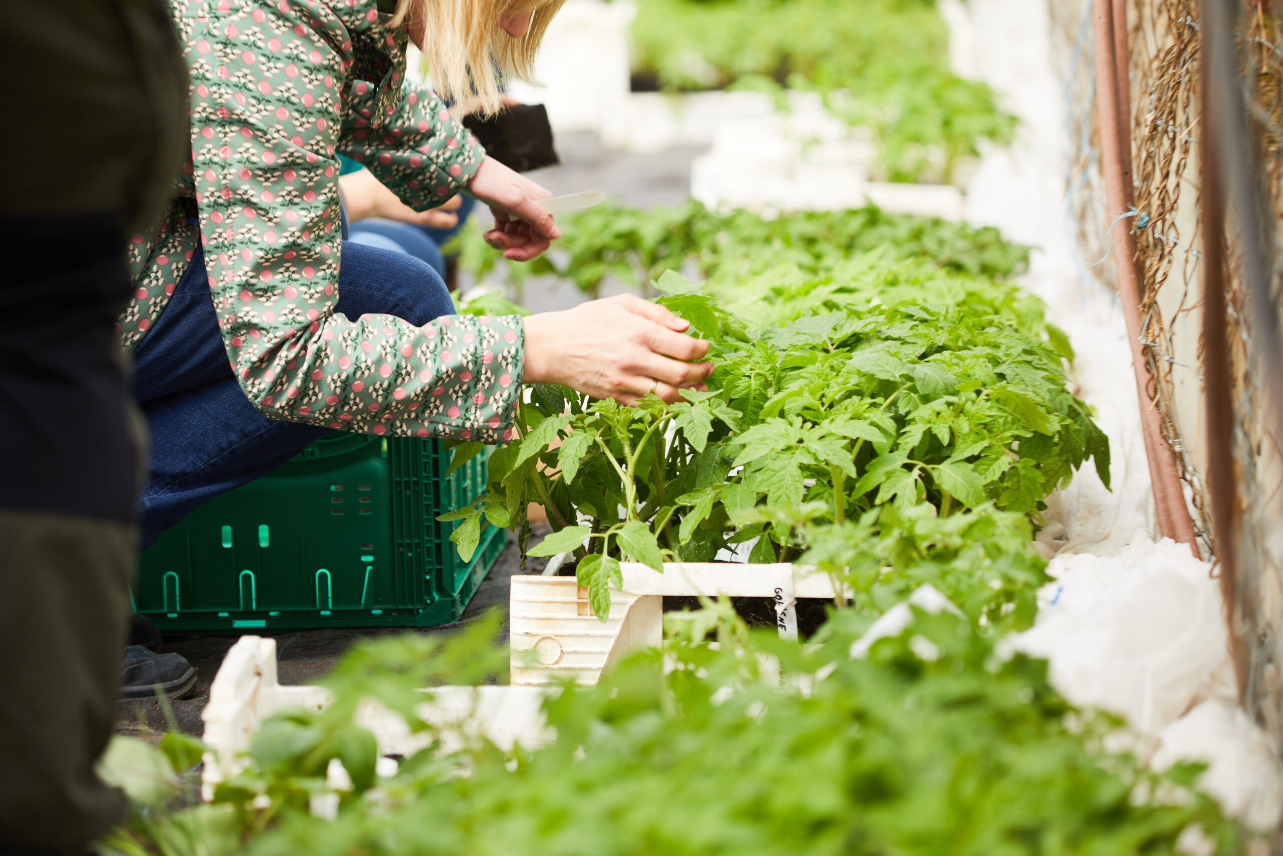 Frühlingsfest mit über 850 Saatgutsorten