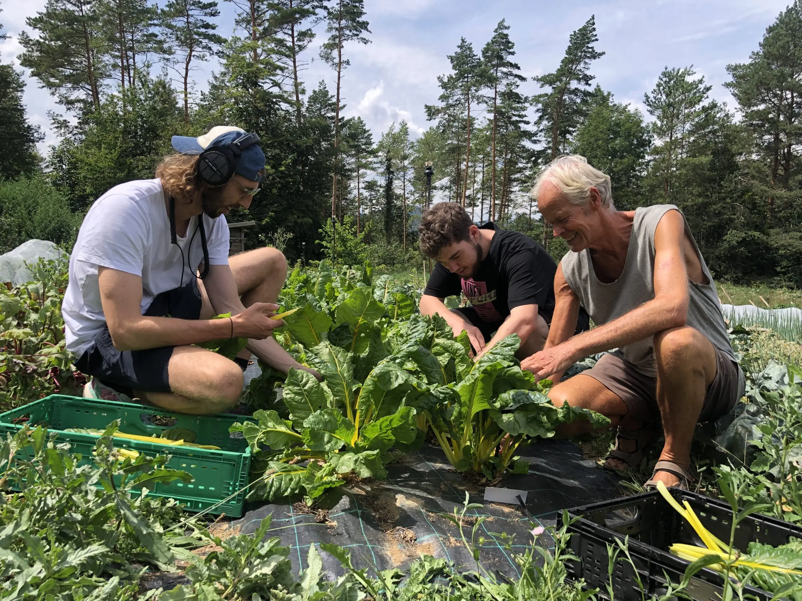 VinziRast: Bio-Gemüse mit sozialem Auftrag