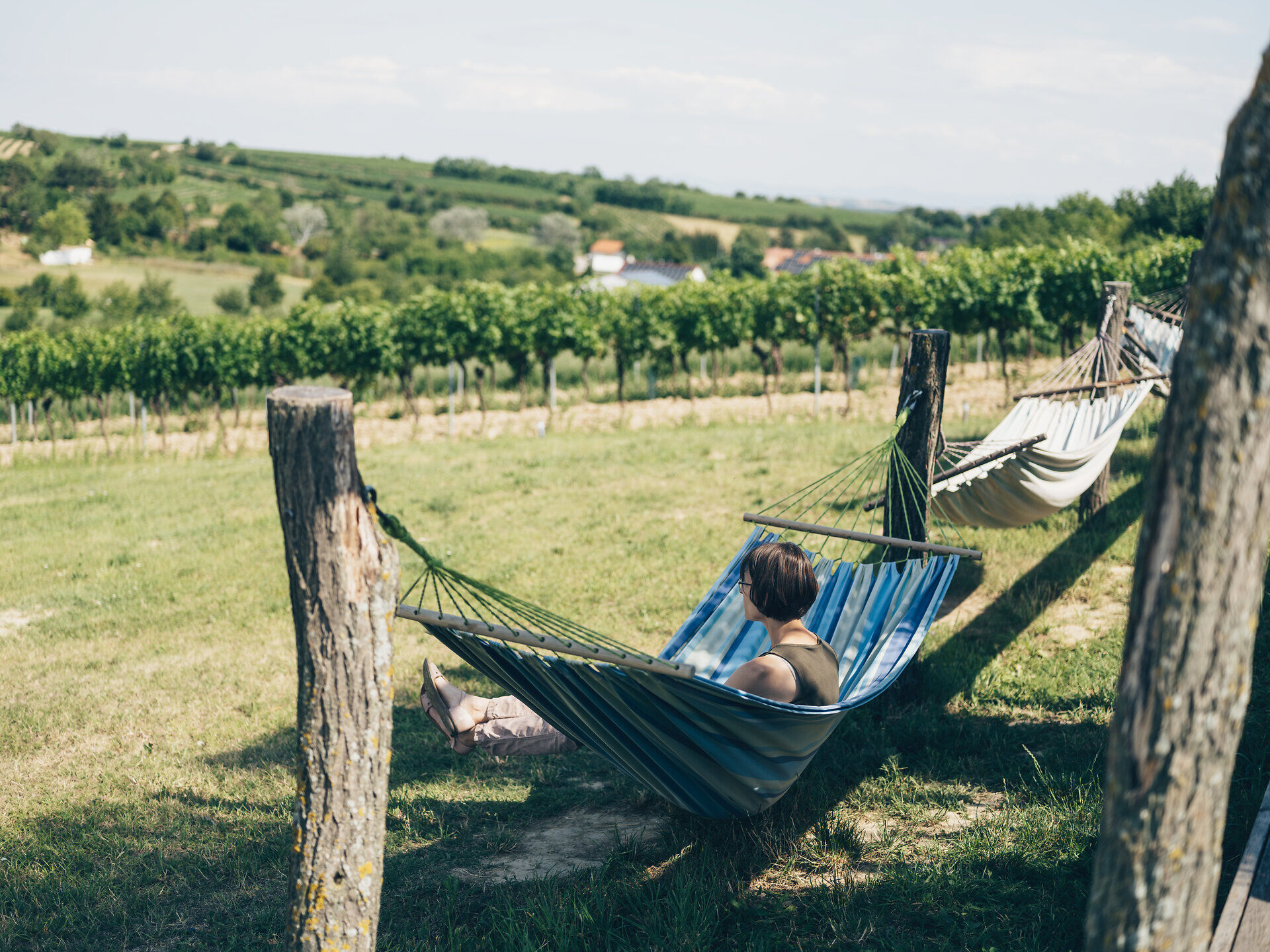 Taste the Weinviertel: Neue Eventreihe setzt auf Genuss und Regionalität
