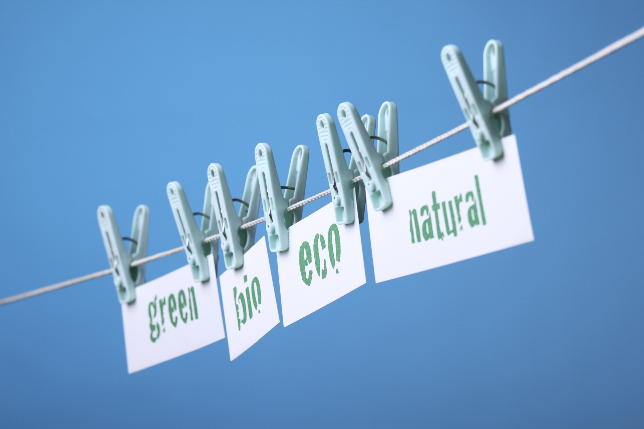 Neues EU-Recht gegen Greenwashing: Was Sie jetzt wissen müssen