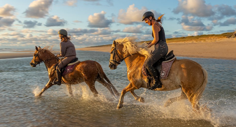 Reitspaß bei Sonnenuntergang am Strand von Rantum