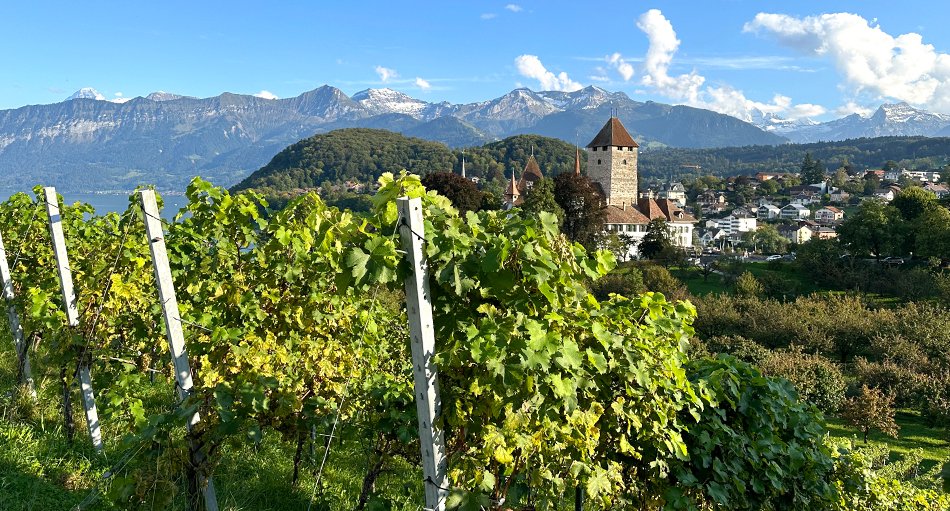 Die „versteckten Perlen“ der Schweiz mit dem Zug und dem Schiff erkunden
