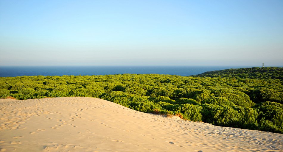Spaniens Nationalparks sind mehr als nur „Natur pur“