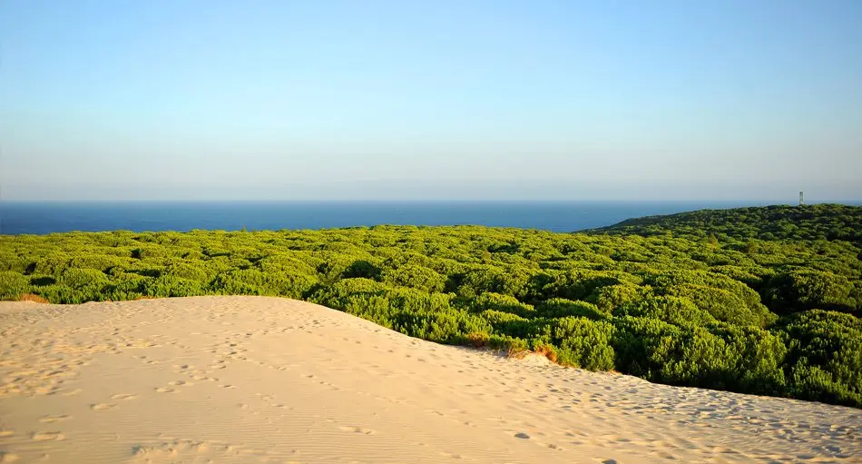 Spaniens Nationalparks sind mehr als nur „Natur pur“