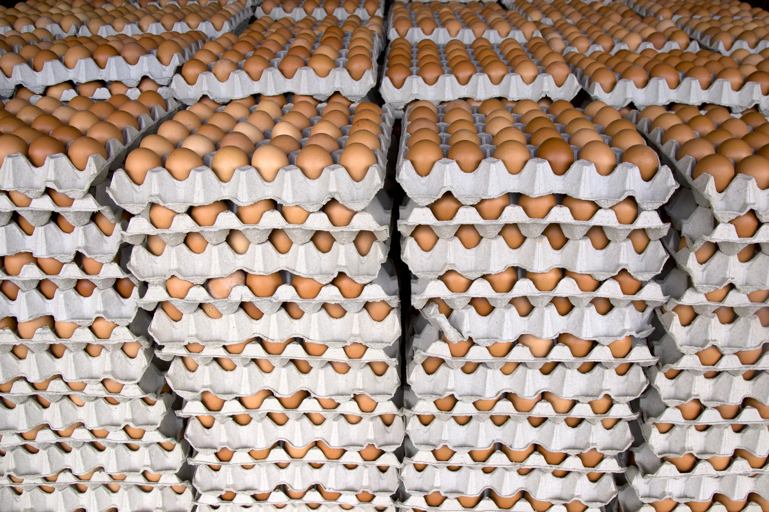 Eier-Boom: 246 Stück pro Kopf